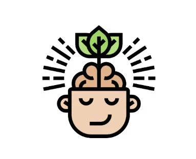 Mindfulness Notes