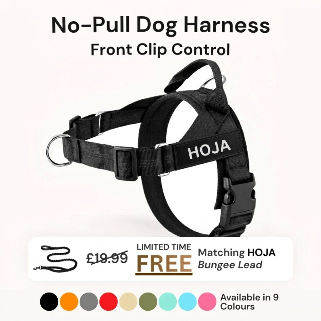 Hoja No Pull Dog Harness