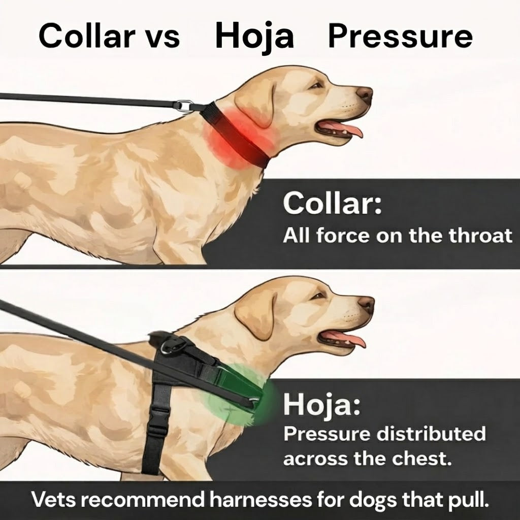 Hoja No Pull Dog Harness