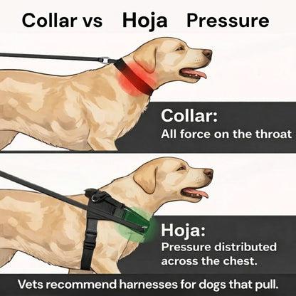 Hoja No Pull Dog Harness