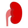 Nephrology Notes