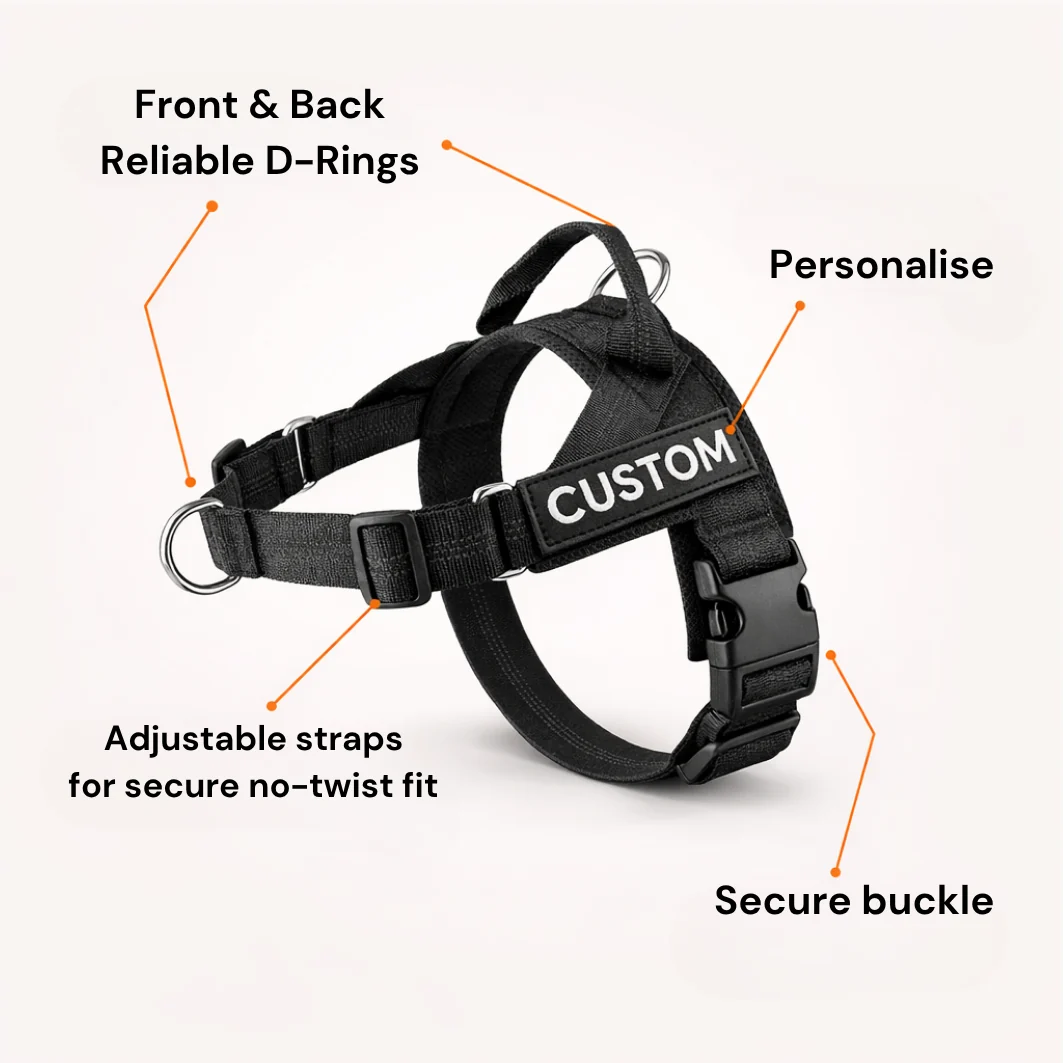 Hoja No Pull Dog Harness