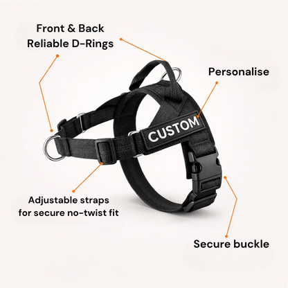 Hoja No Pull Dog Harness