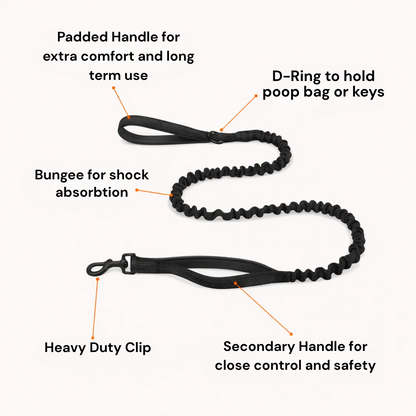 Hoja No Pull Dog Harness