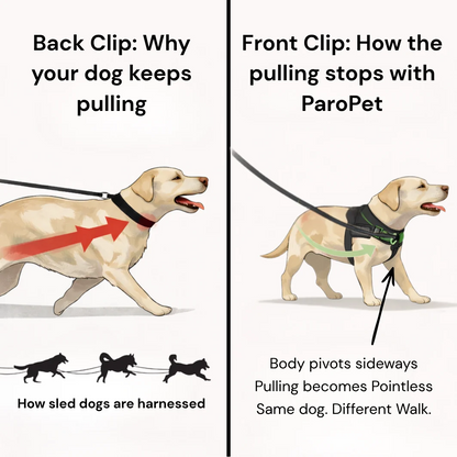 Hoja No Pull Dog Harness
