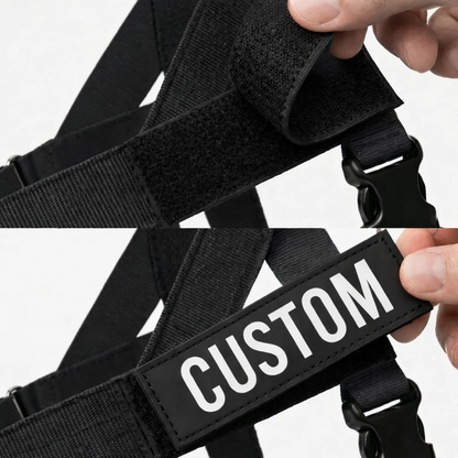 Hoja No Pull Dog Harness