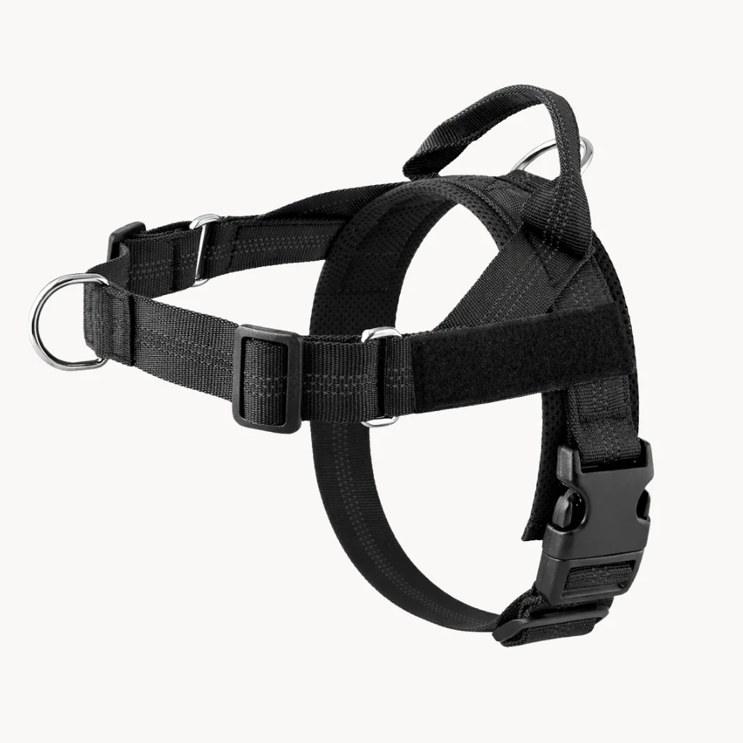 Hoja No Pull Dog Harness