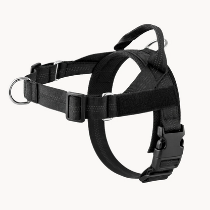 Hoja No Pull Dog Harness