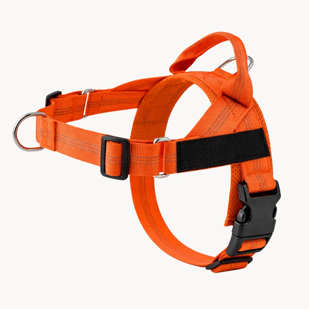Hoja No Pull Dog Harness