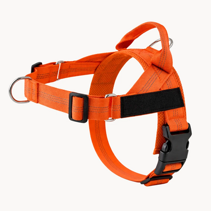 Hoja No Pull Dog Harness