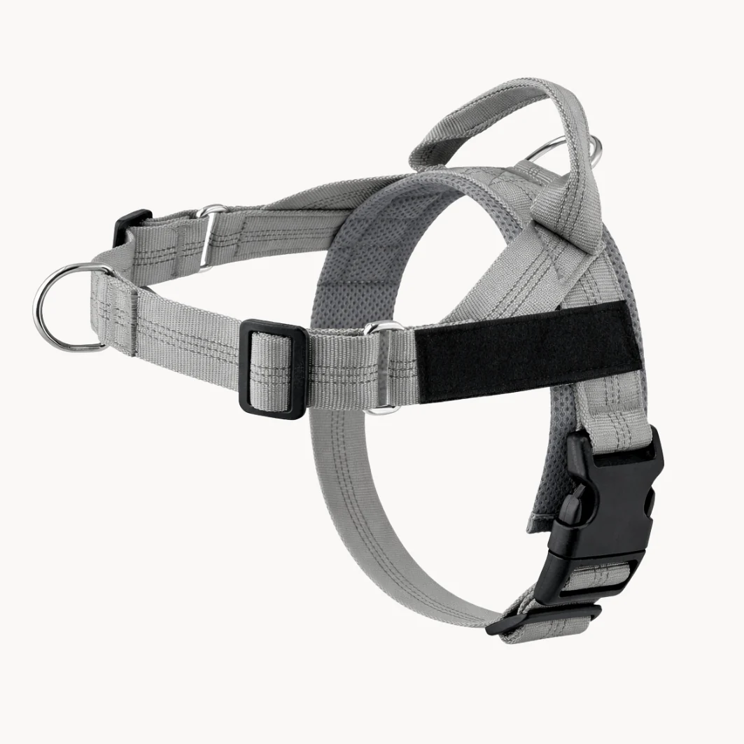 Hoja No Pull Dog Harness