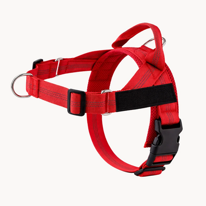 Hoja No Pull Dog Harness
