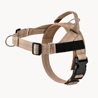 Hoja No Pull Dog Harness