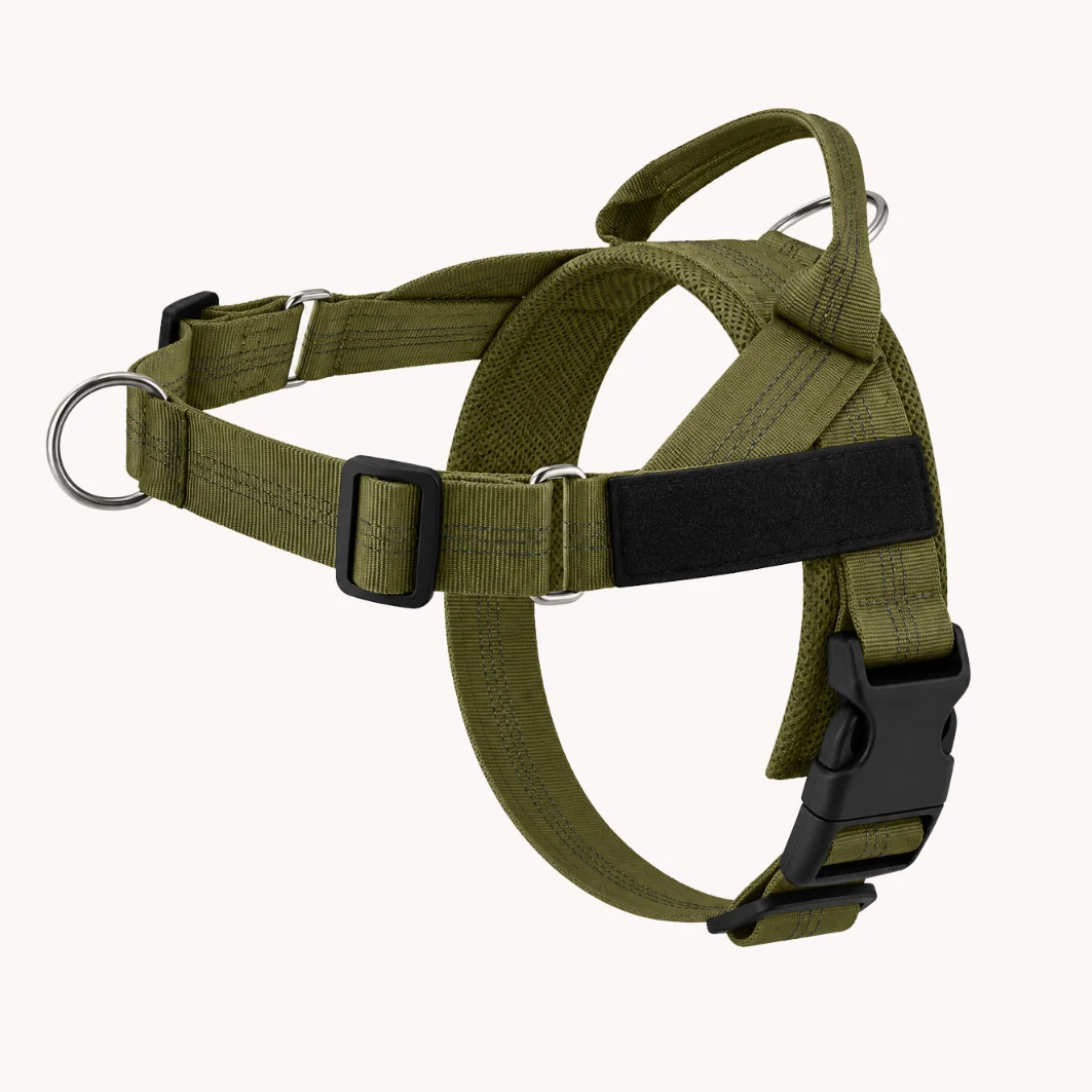 Hoja No Pull Dog Harness