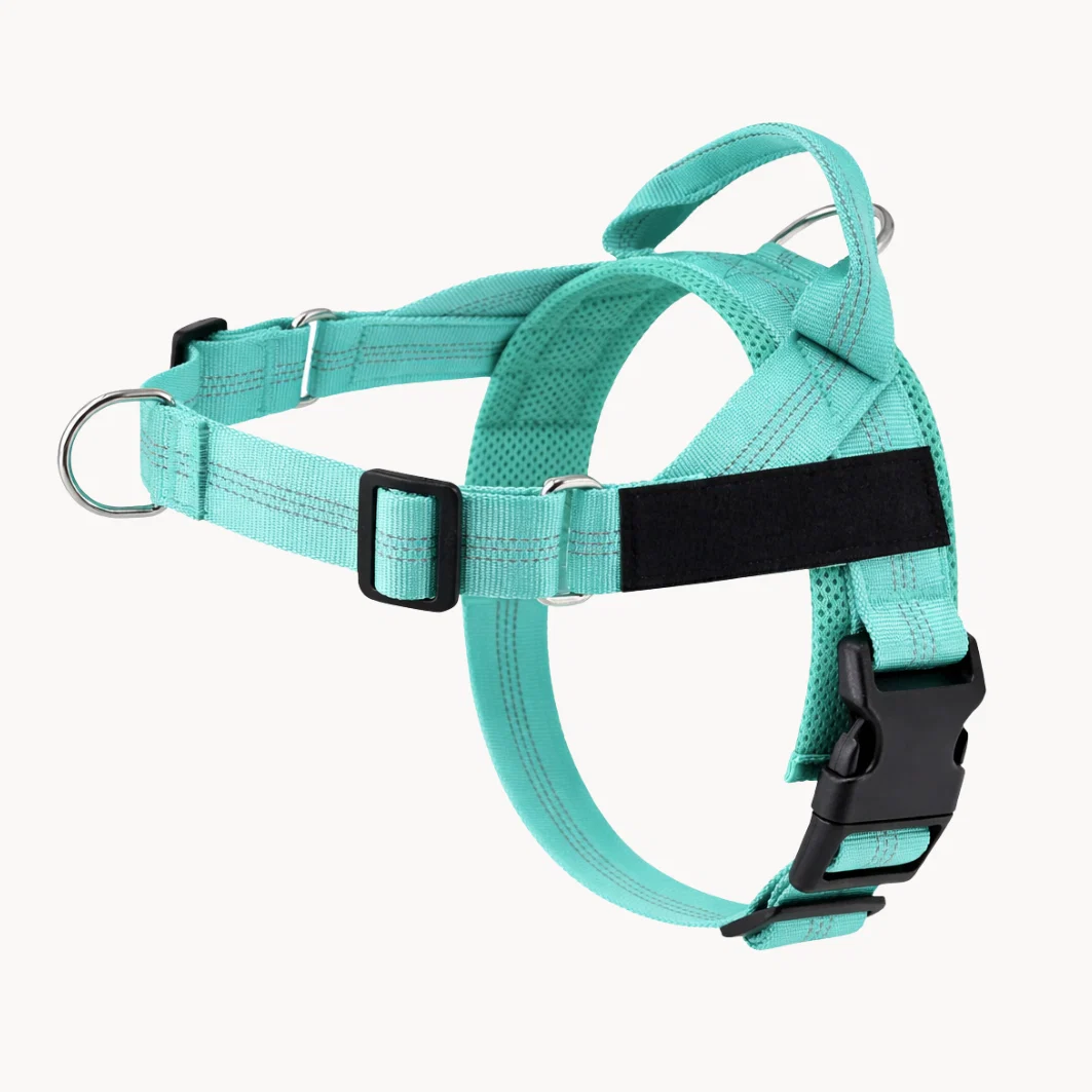 Hoja No Pull Dog Harness