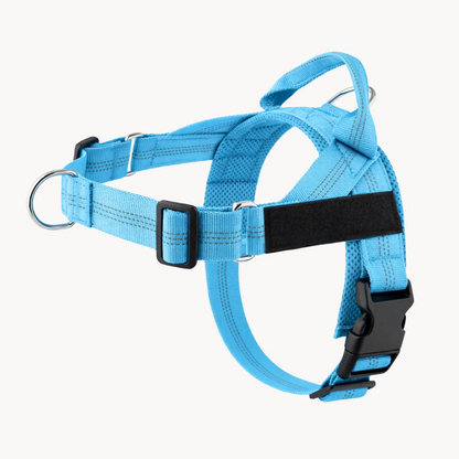Hoja No Pull Dog Harness