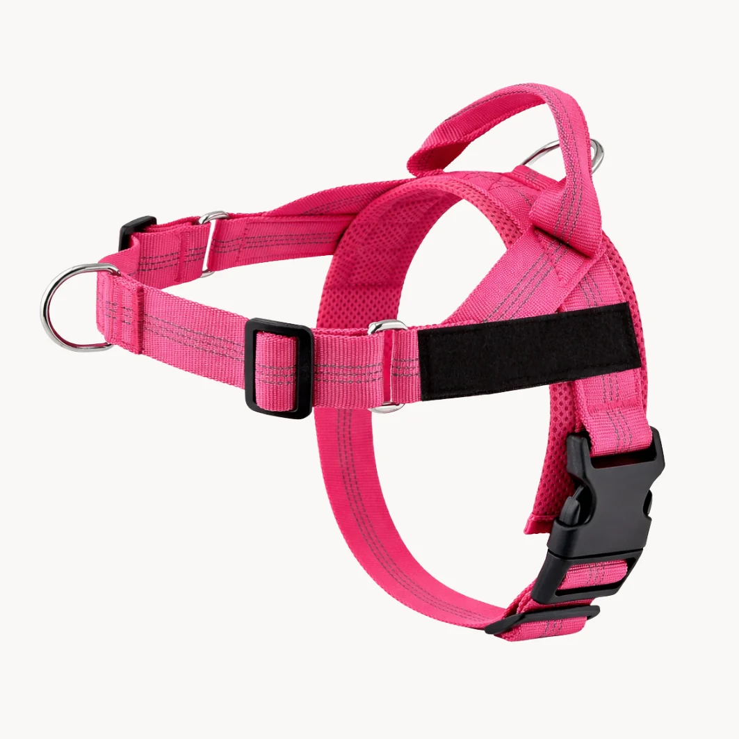 Hoja No Pull Dog Harness