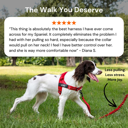 Hoja No Pull Dog Harness
